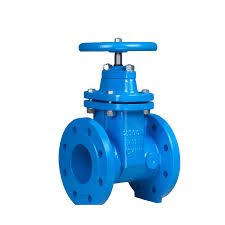 gate valve